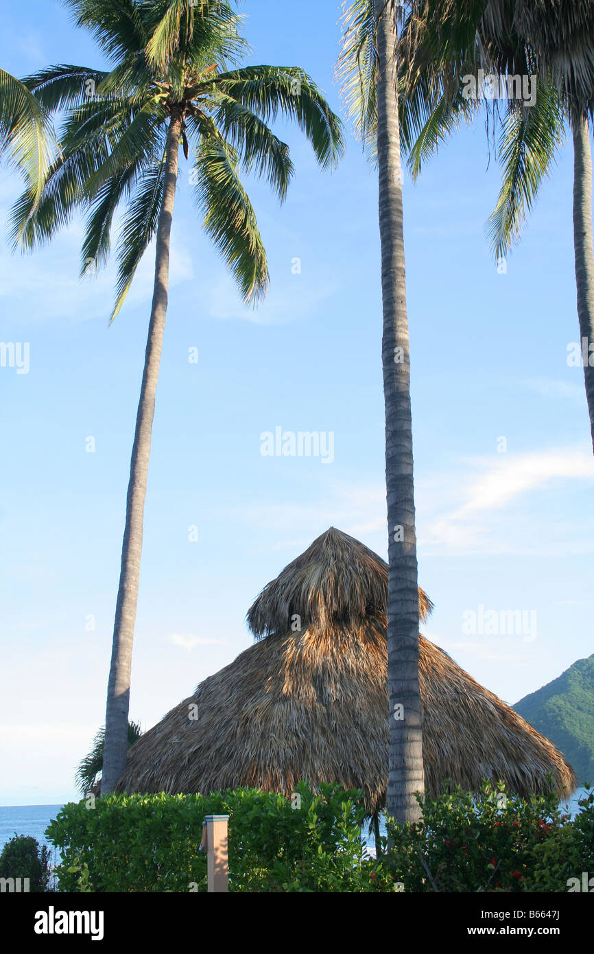 A thatched roof tropical grass hut or palapa in mexico Stock Photo