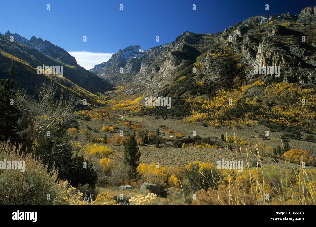 Glaciated Valley Ruby Mountains Elko Nevada US Stock Photo - Alamy