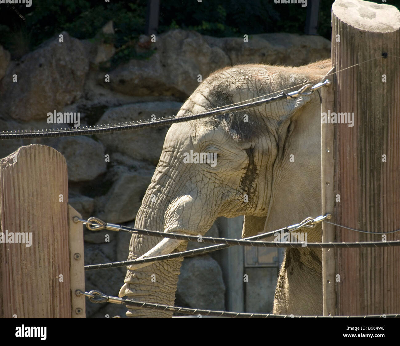 Rope enclosure hi-res stock photography and images - Alamy