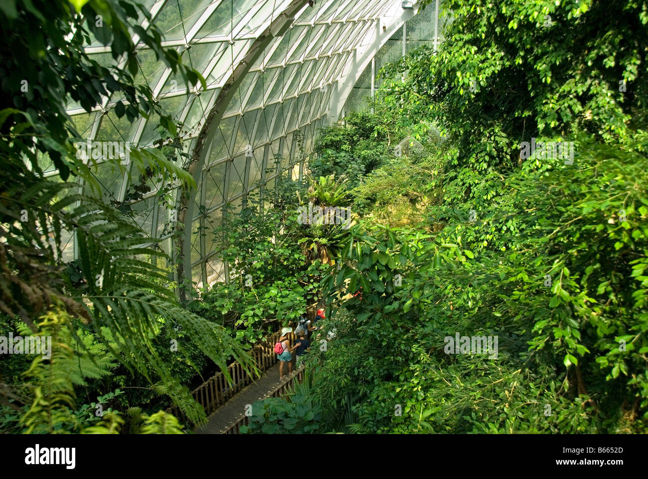 Rainforest house zoo schoenbrunn vienna hires stock photography and