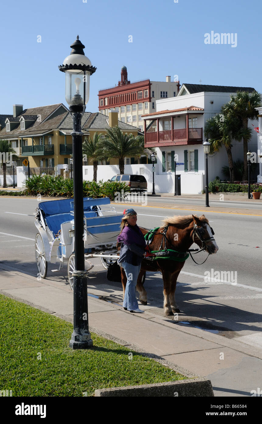 St Augustine Florida USA carriage ride on Avenida Menendez in this