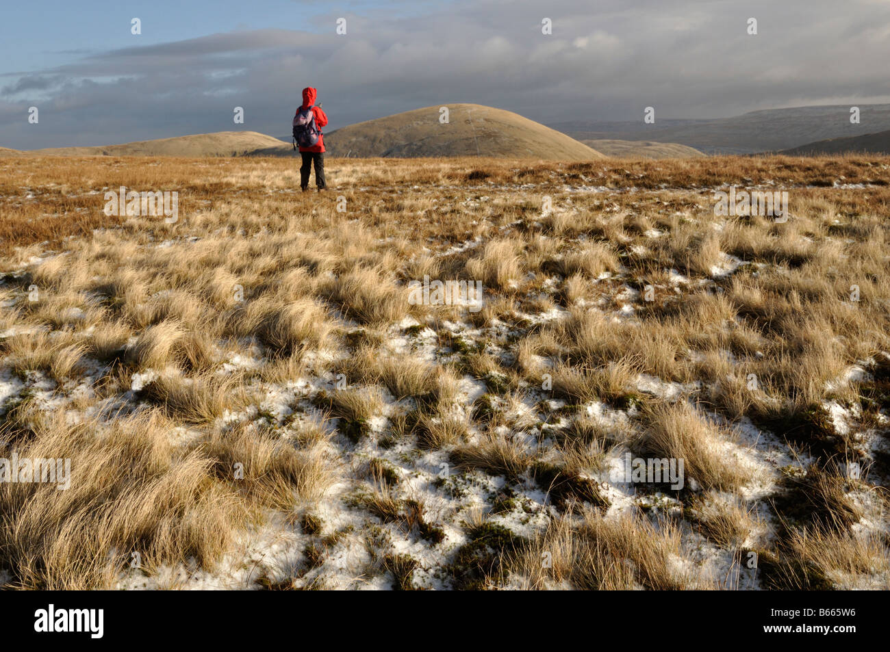 Walker on Hazelgill Knott Howgill fells Cumbria Stock Photo