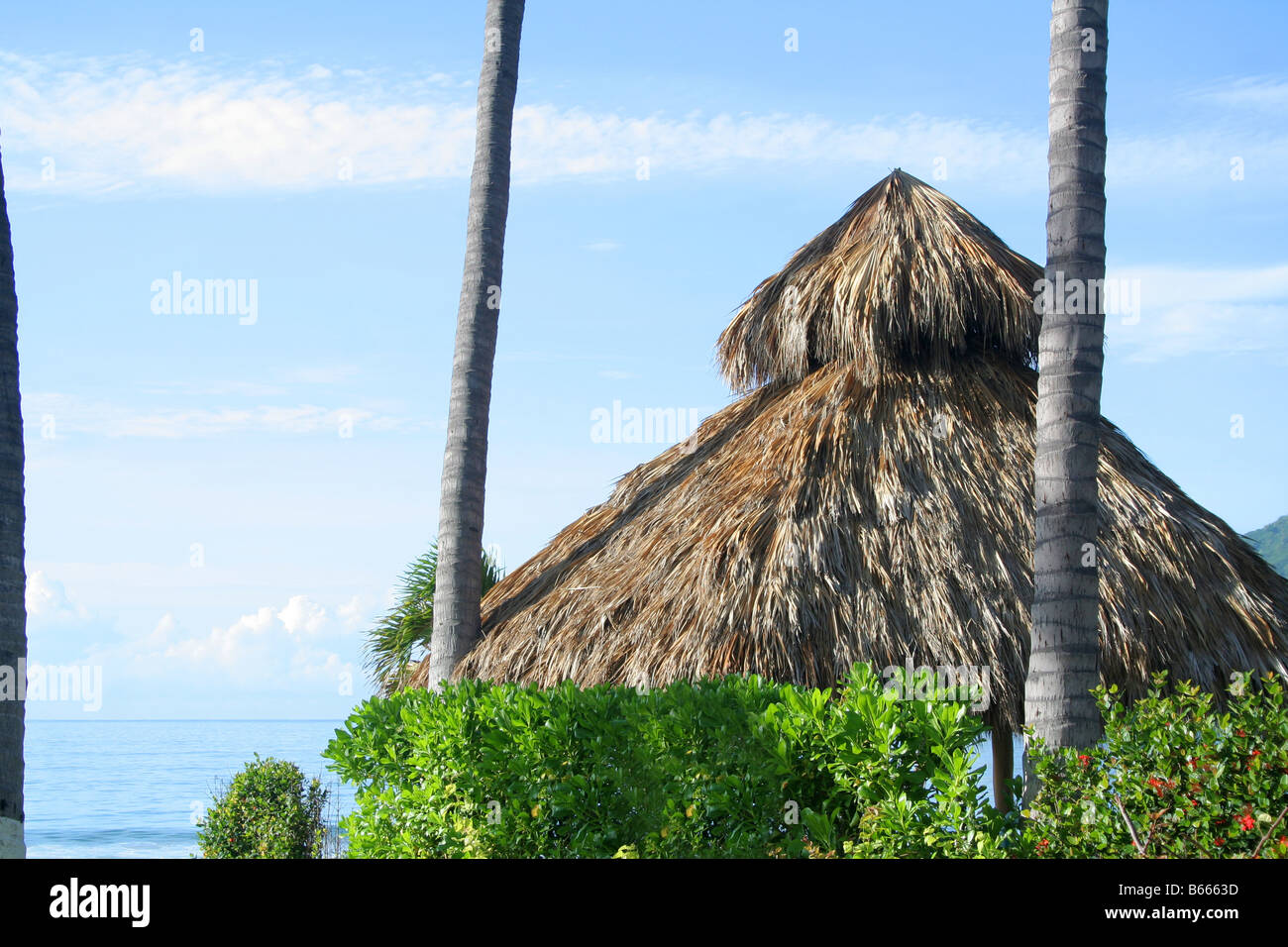 A thatched roof tropical grass hut or palapa in mexico Stock Photo