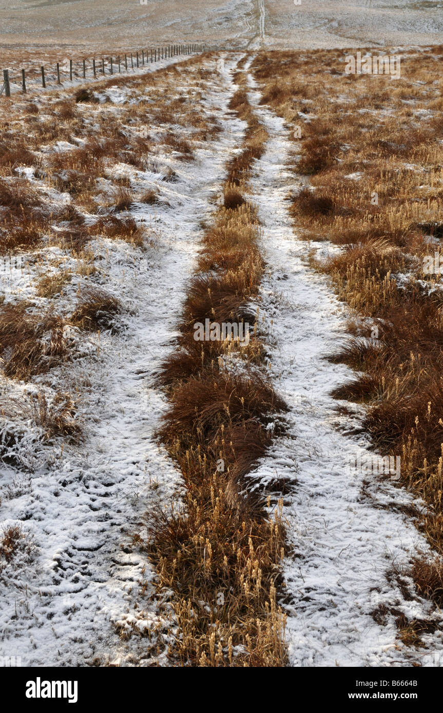 Frosty track Little Whernside Yorkshire Stock Photo