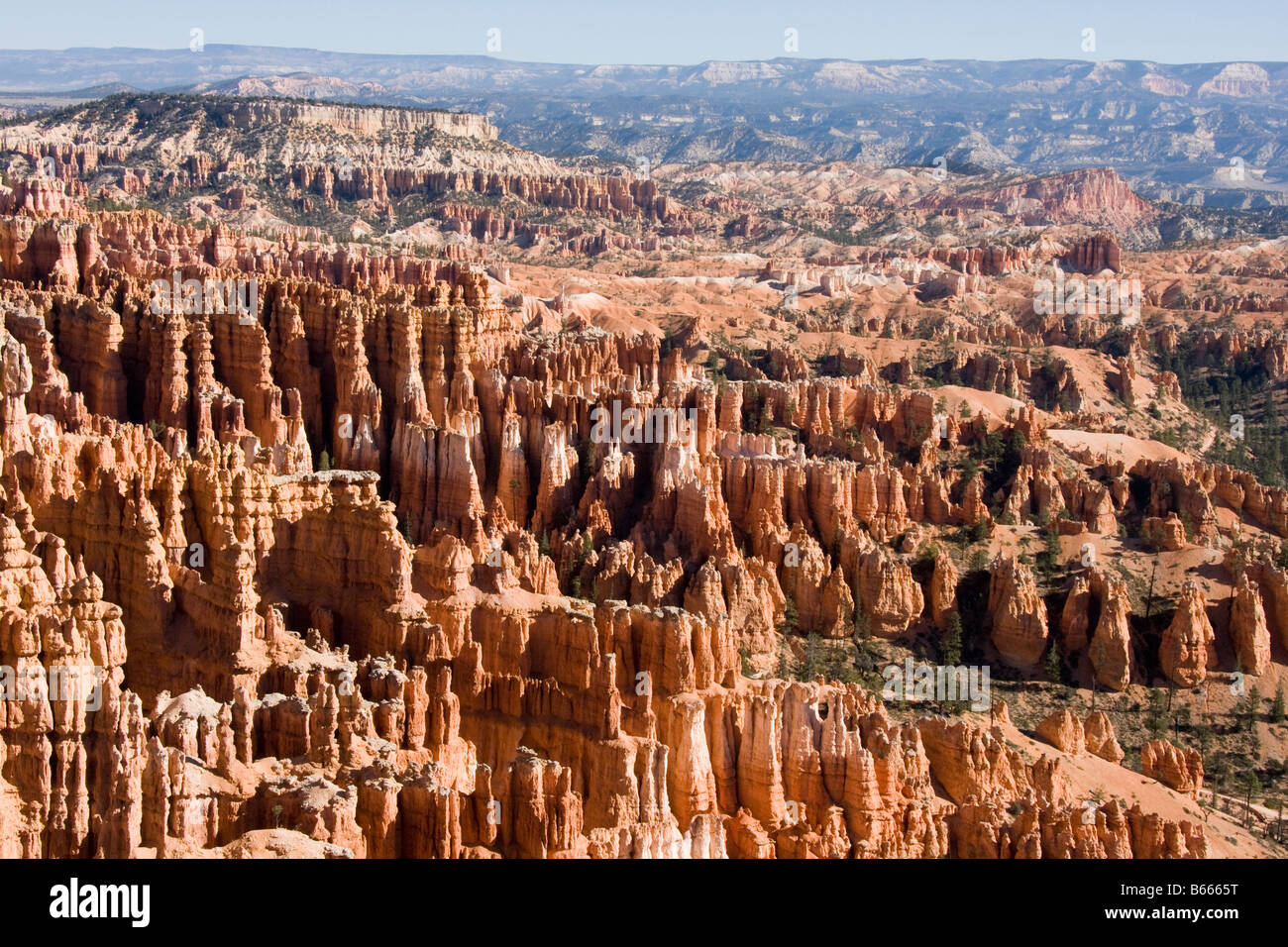 nature majesty Stock Photo