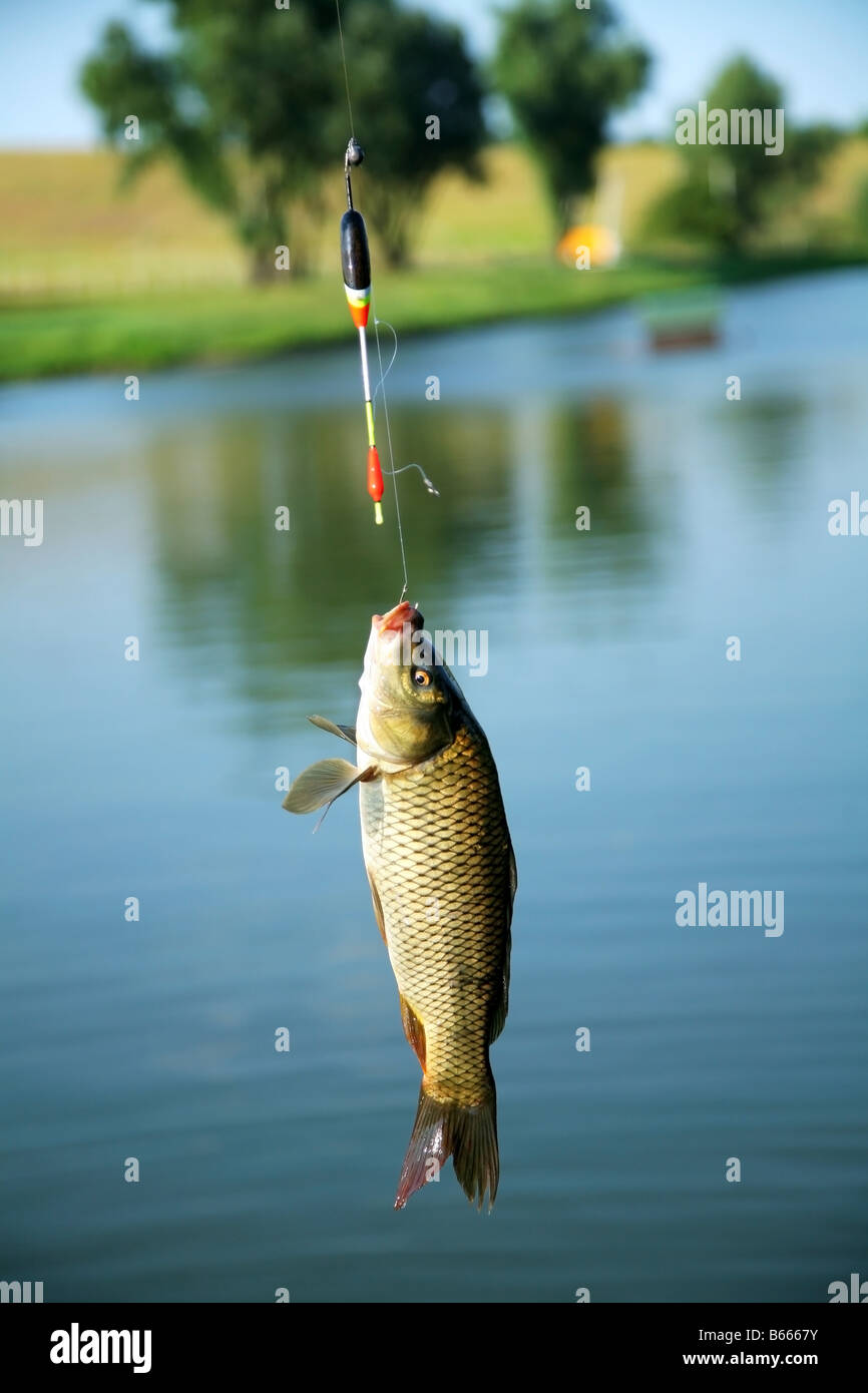 Fishing hook bobber hi-res stock photography and images - Alamy