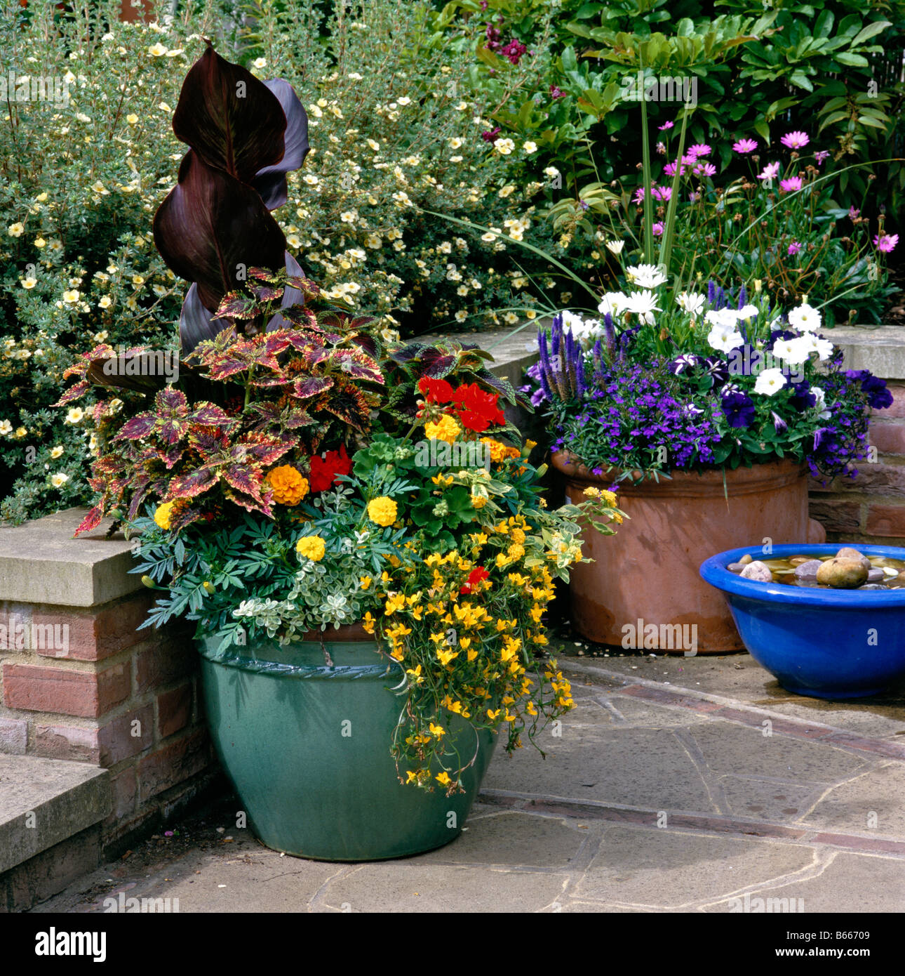 Containers with Mixed Planting on a garden terrace Stock Photo