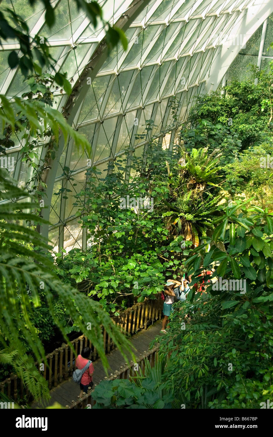 Rainforest house, tourists, zoo, Schoenbrunn, Vienna, Austria, Europe Stock Photo