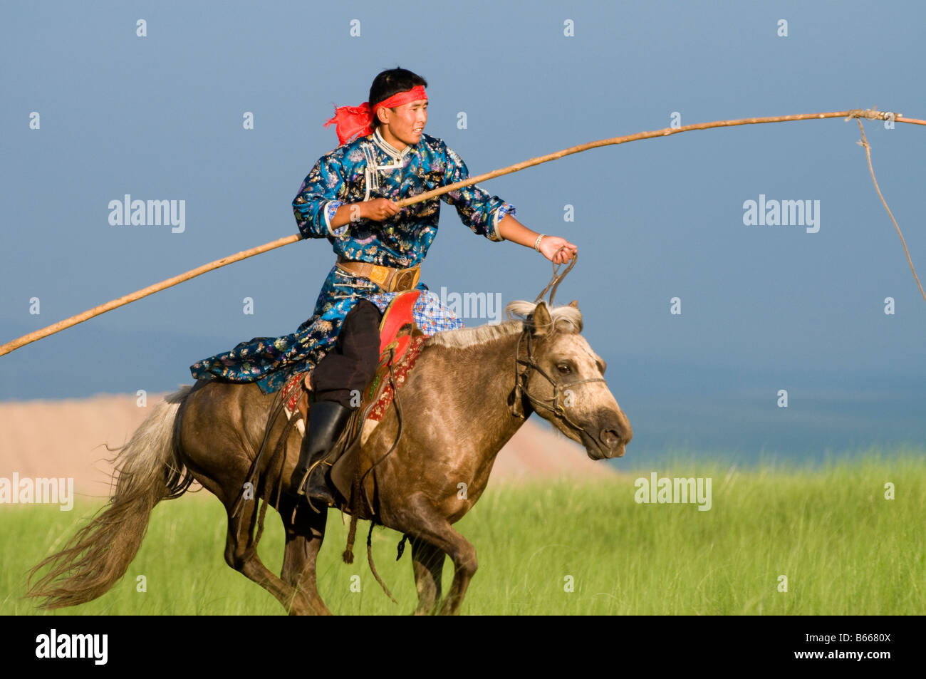 Grasslands herdsman on horseback catches horse with rope and pole urga ...
