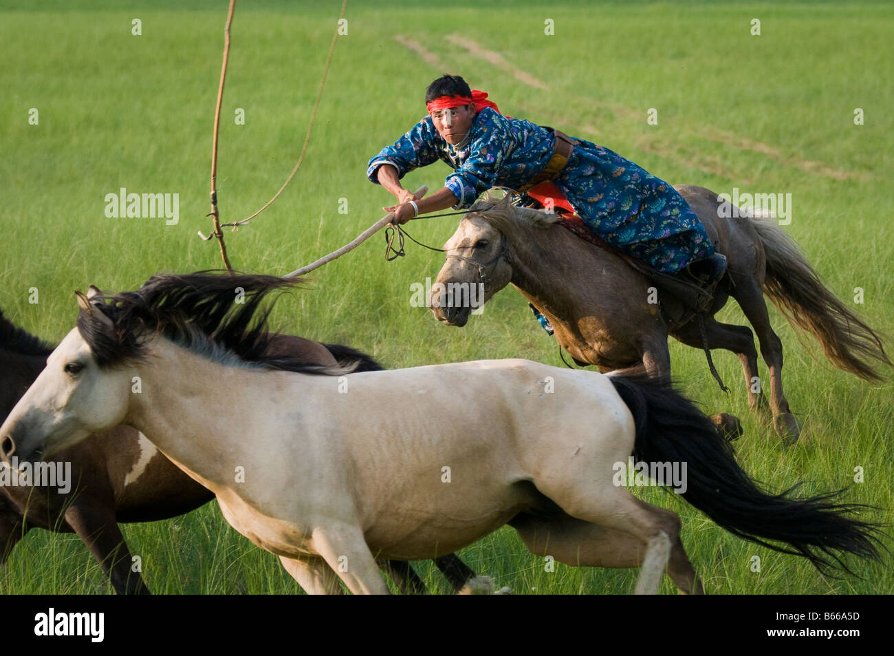 Uurga Ethnic mongolian urga tom salyer hi-res stock photography and images ...