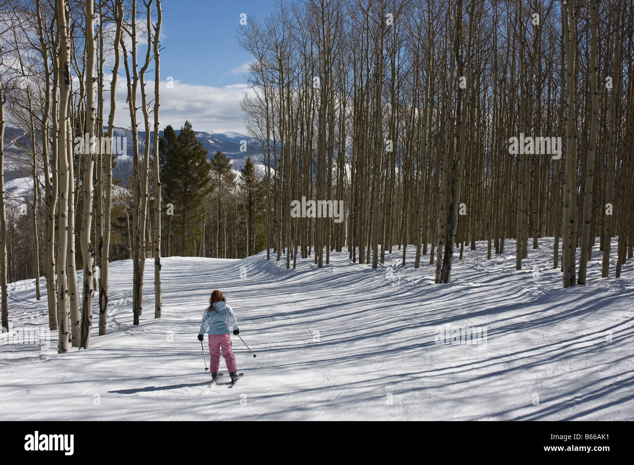 Ski run between Arrowhead and Bachelor Gulch areas, Beaver Creek Resort, Avon, Colorado. Stock Photo