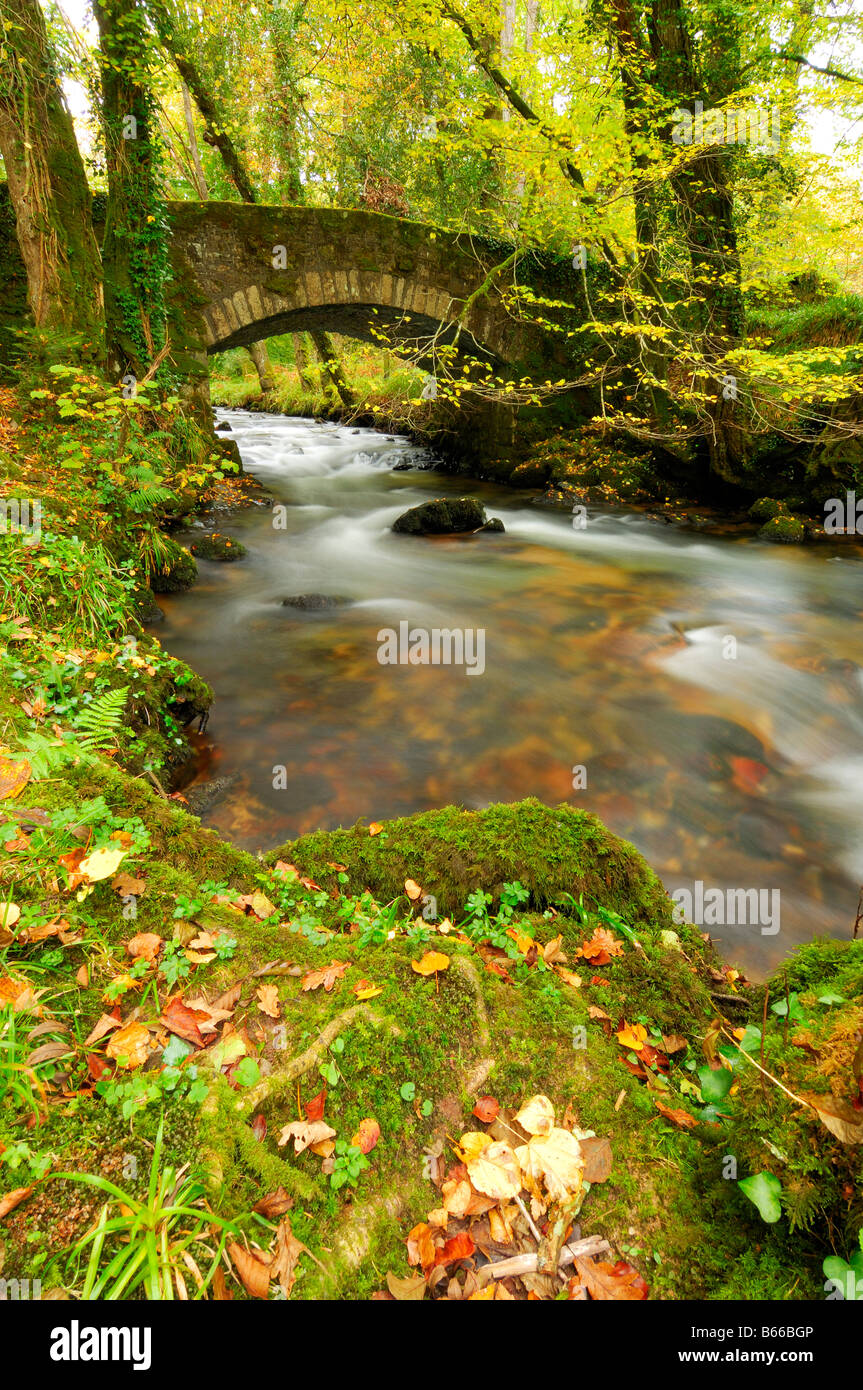An autumnal scene around The River burn at Buckland Bridge where it
