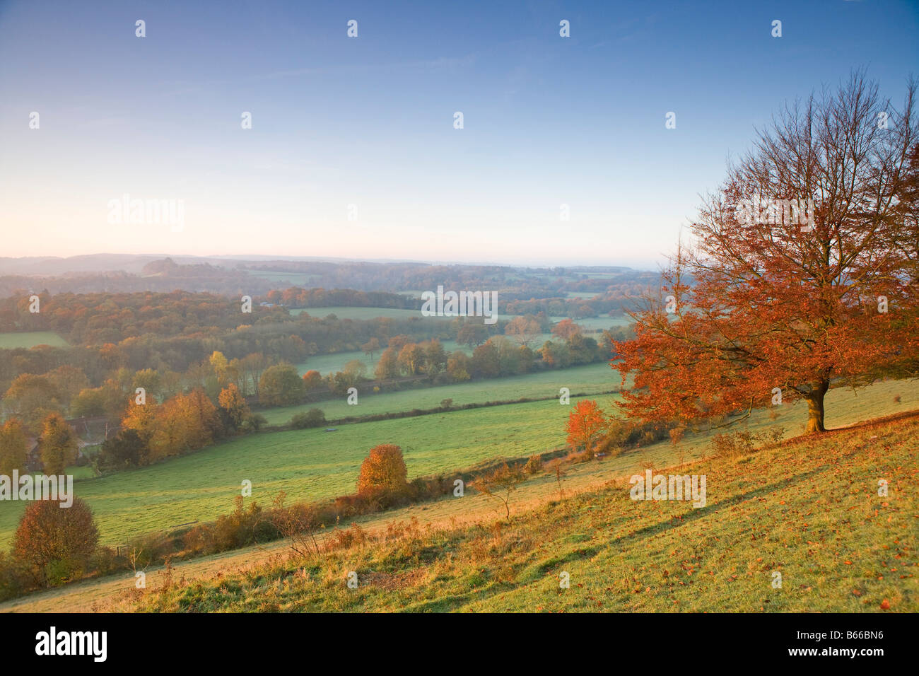 Scenic autumn view across the Surrey Hills from Ranmore Common Dorking North Downs Surrey November Stock Photo