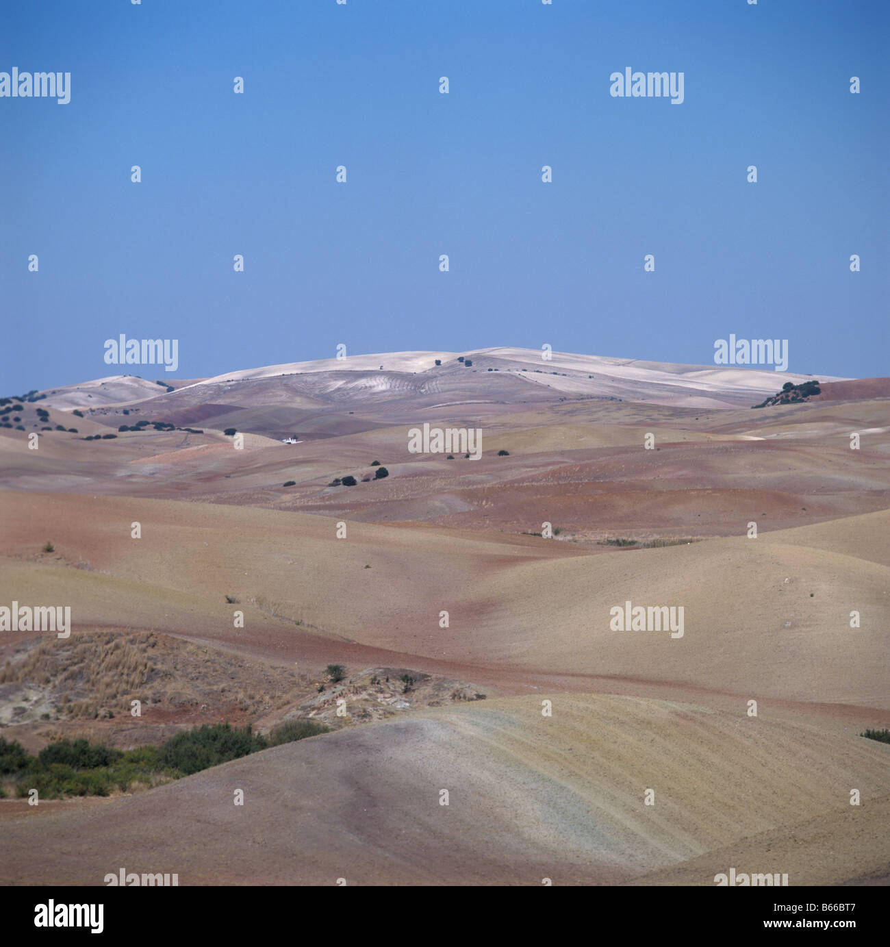 Dry arid landscape of cultivate undulating fields in autumn Andalusia Spain Stock Photo