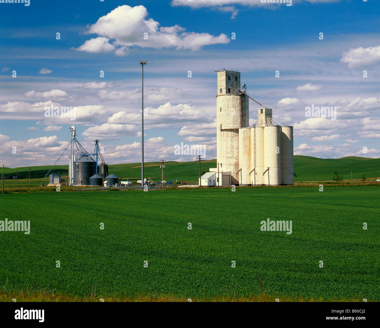 WASHINGTON - Grain silos in farm fields near Steptoe in the Palouse area of Eastern Washington. Stock Photo