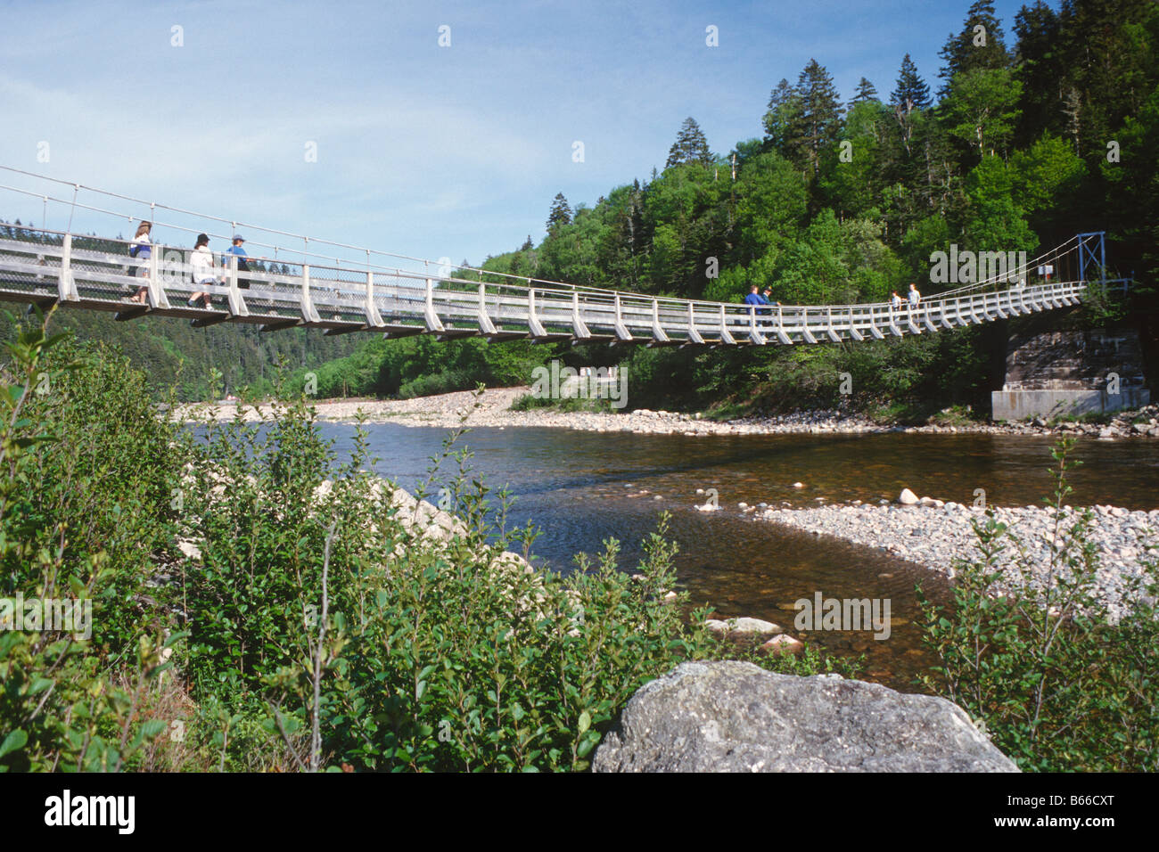 Suspension bridge across the Big Salmon River on the Fundy Trail, New