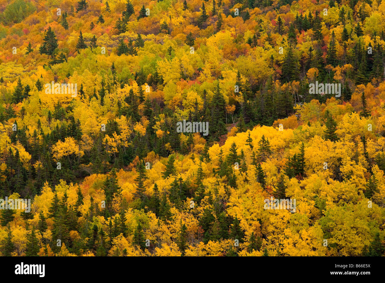 Cape breton hires stock photography and images Alamy