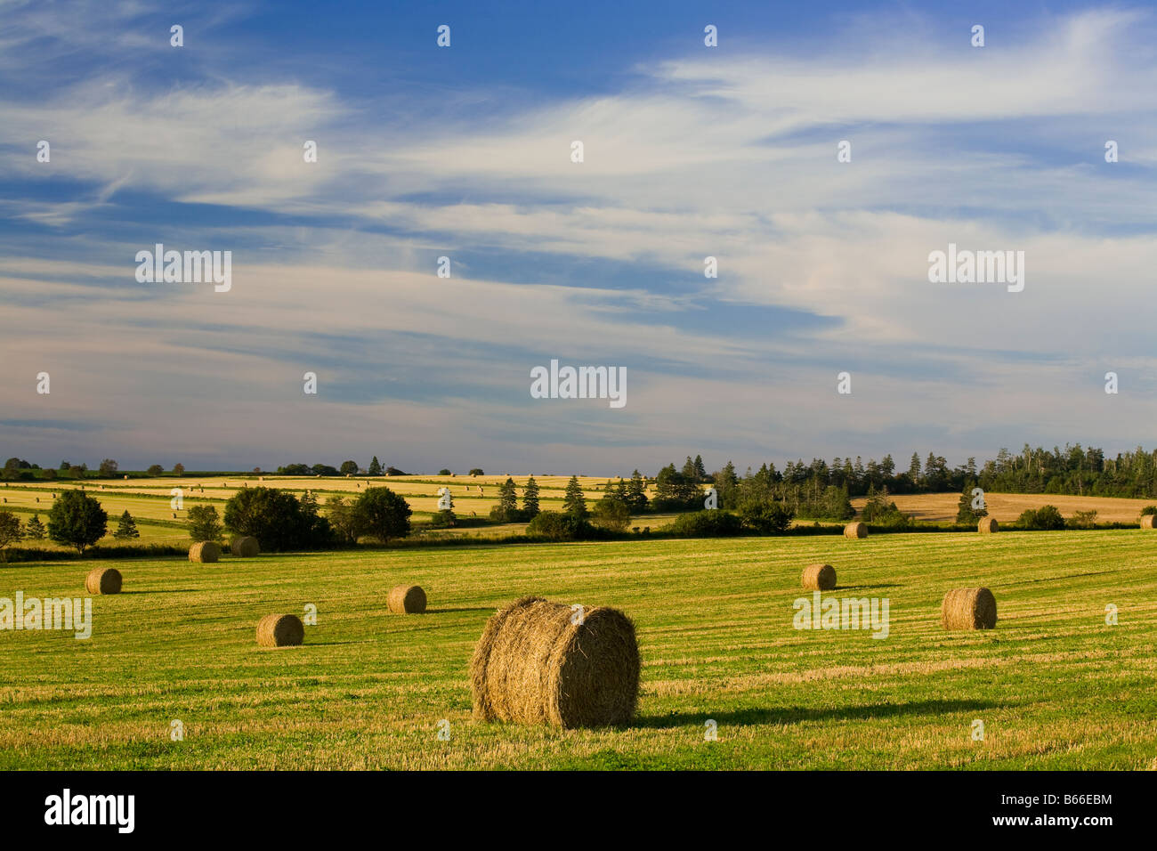 Straw bales hires stock photography and images Alamy