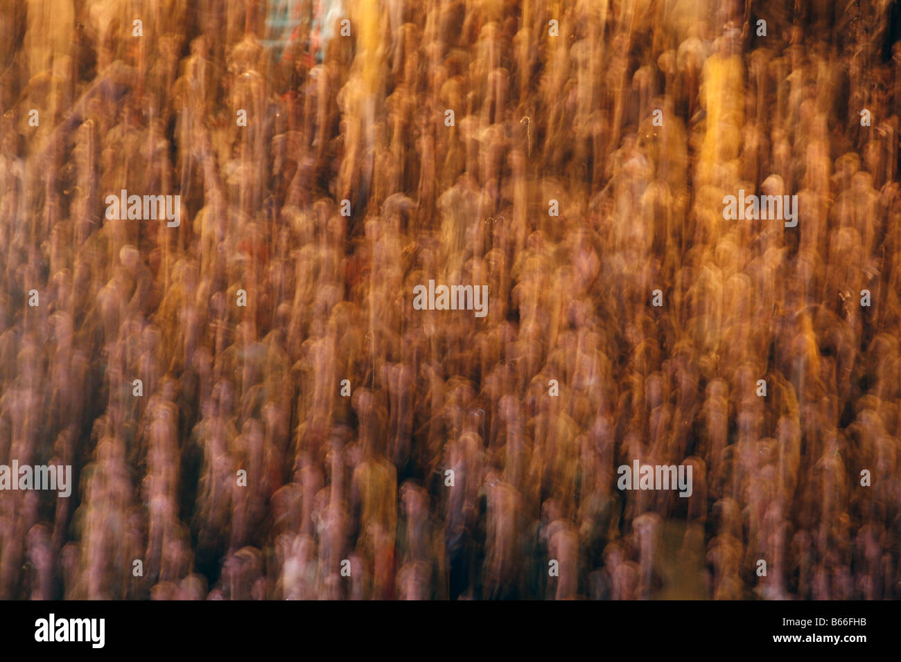 abstract scene crowd people at music concert night Stock Photo - Alamy