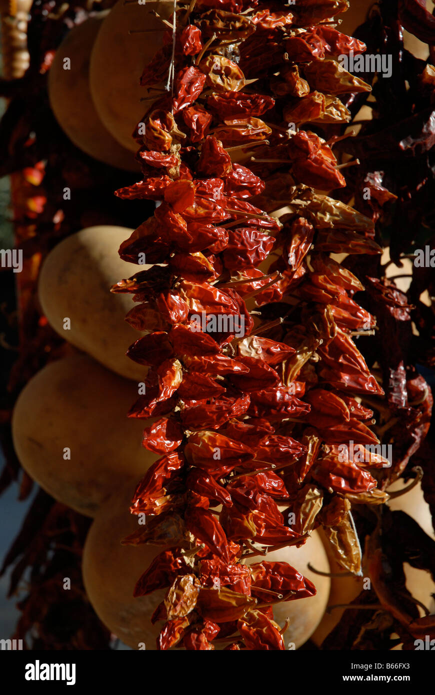 strings of gourds and dried red chillies for sale, near Guadalest, Vall de Guadalest, Alicante Province, Comunidad Valenciana, S Stock Photo