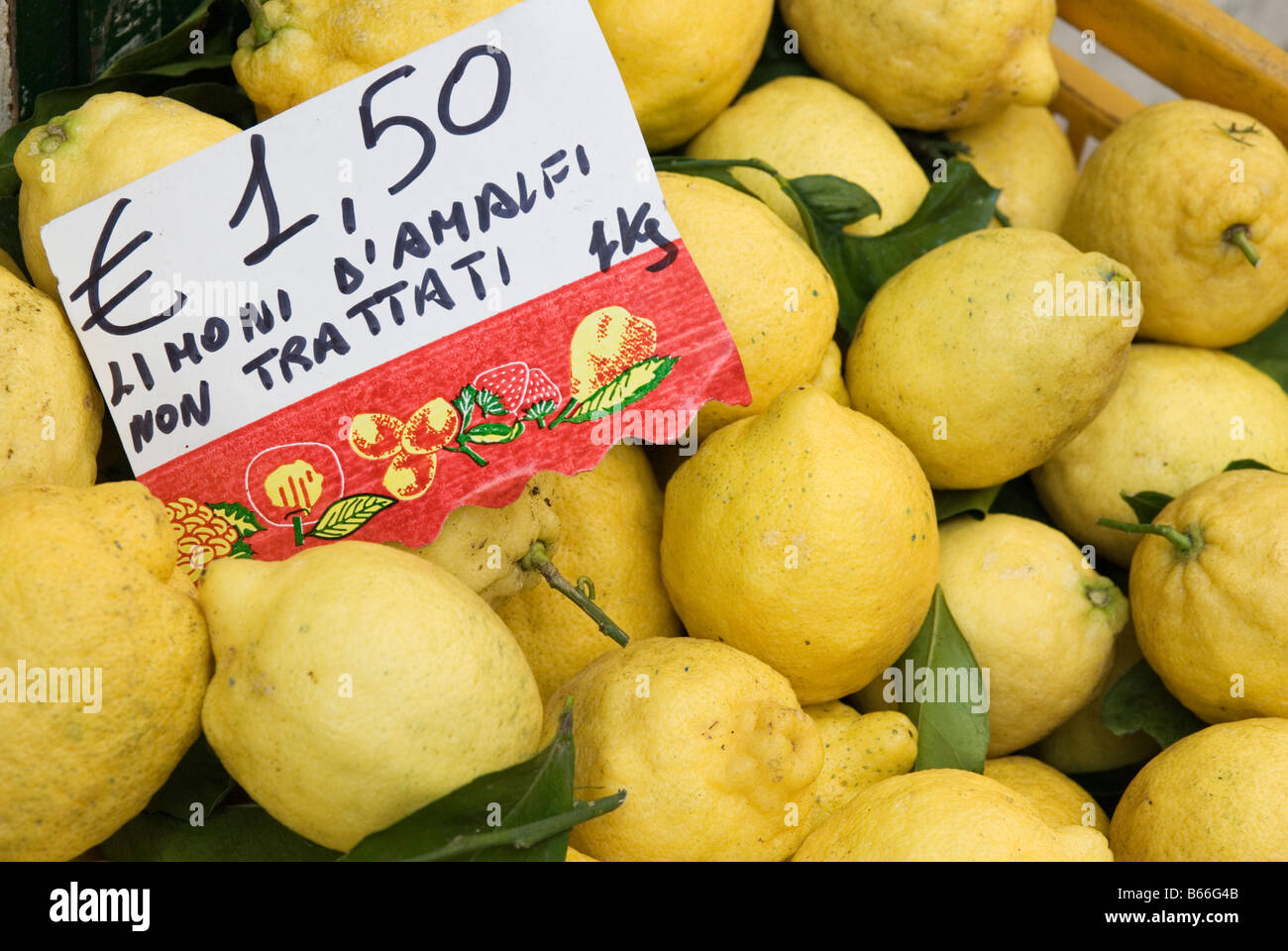 Large local lemons in a crate outside a shop in Amalfi, Campania, Italy Stock Photo