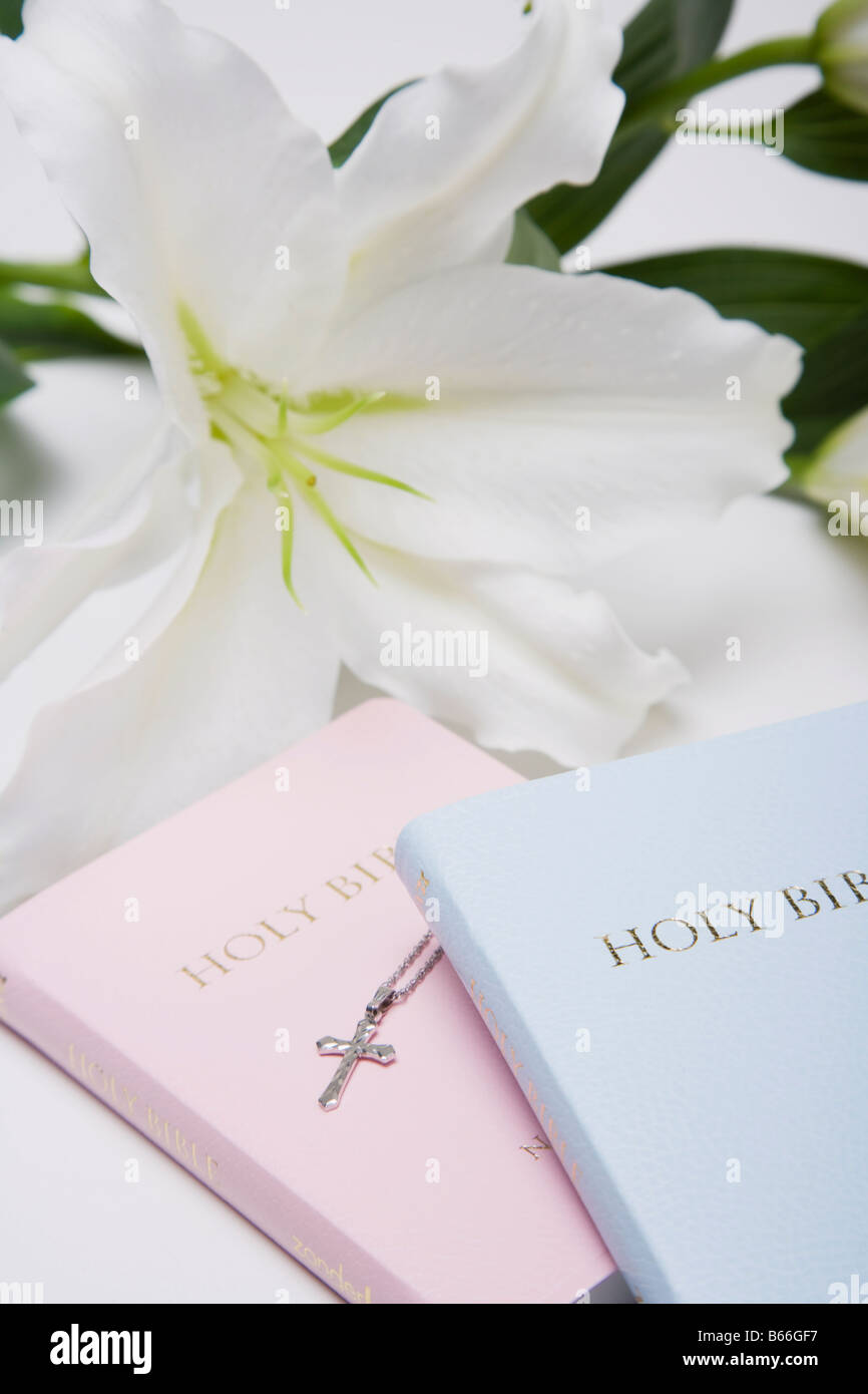 Holy Bible and flowers Stock Photo Alamy