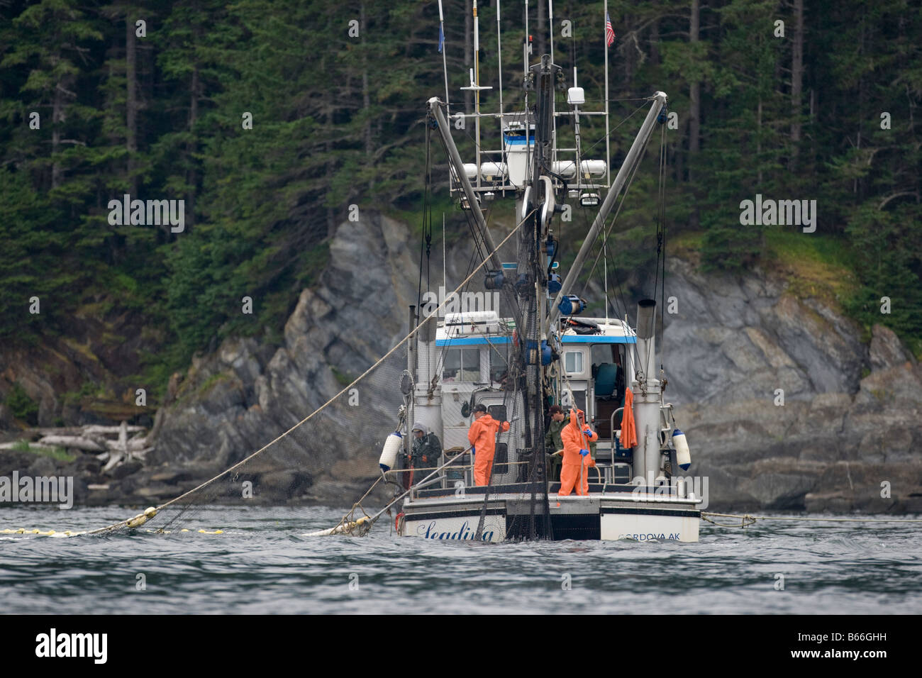 USA Alaska The F V Leading Lady a purse seiner salmon fishing boat gathers nets near feeding pod of Humpback Whales Stock Photo