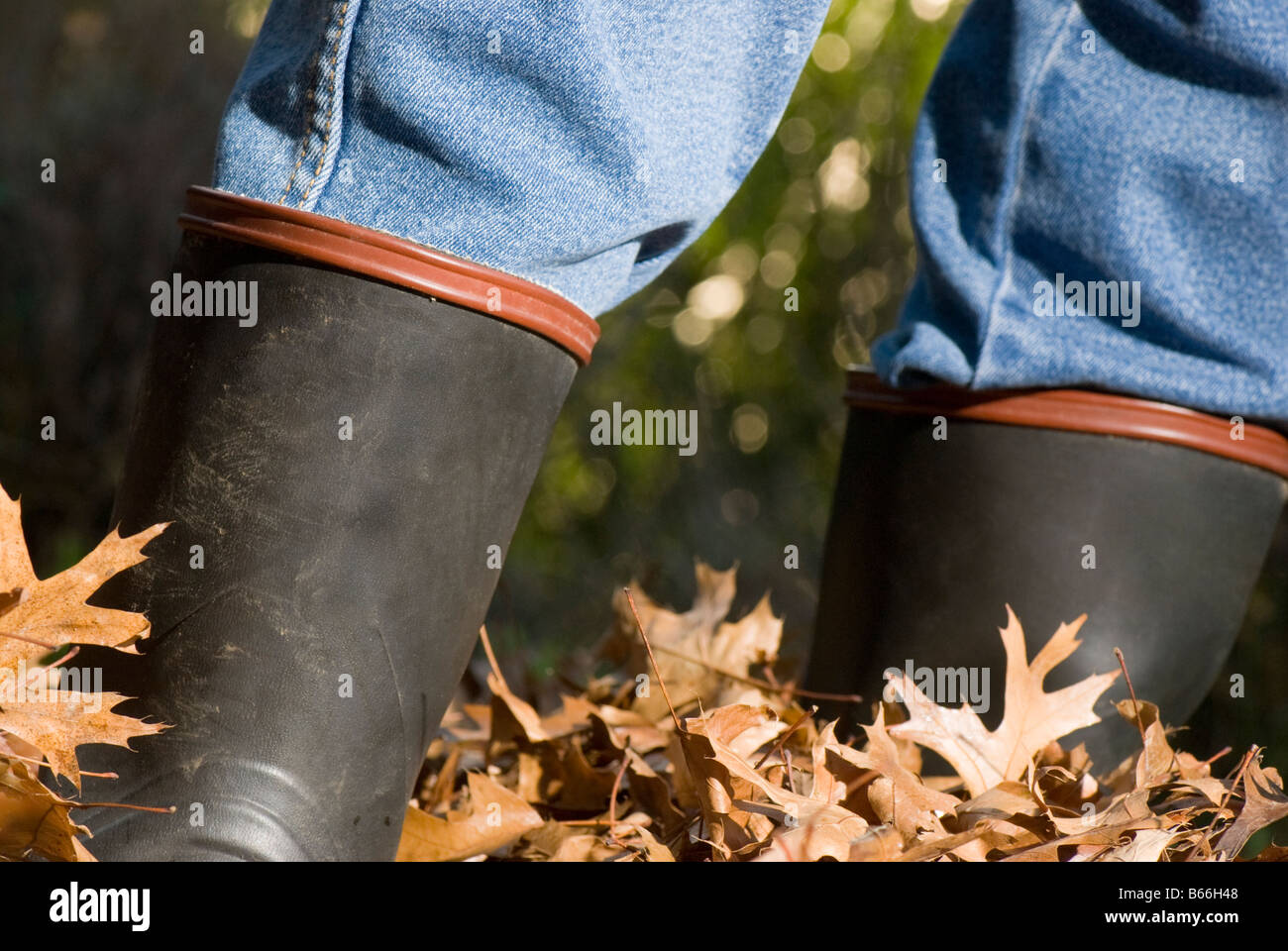 Gumboot in autumn leaves Stock Photo