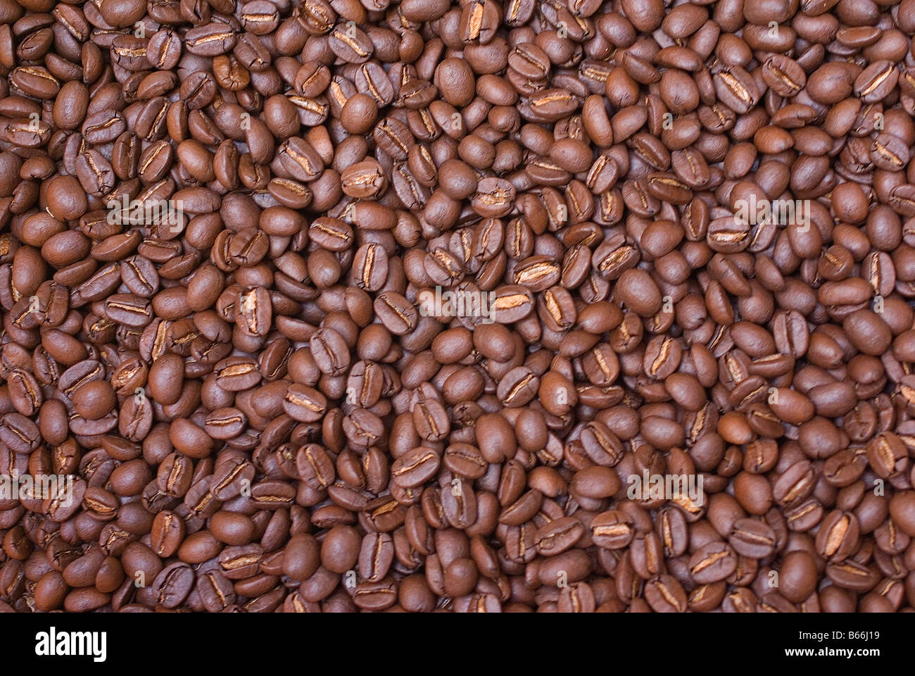 Coffee beans at Victrola Coffee Roasters, Seattle, Washington Stock Photo