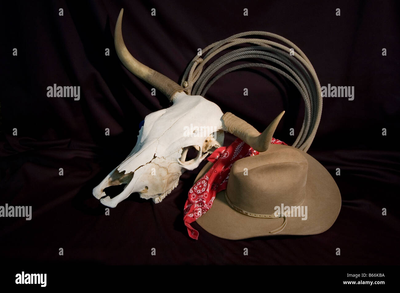 A bleached steer skull with horns coiled rope bandana and hat on a black background Stock Photo