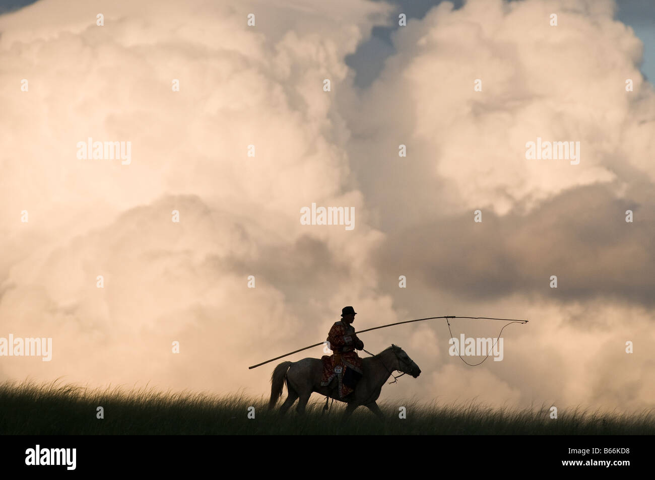 Uurga Grasslands herdsman on horseback catches horse with rope and pole urga ...