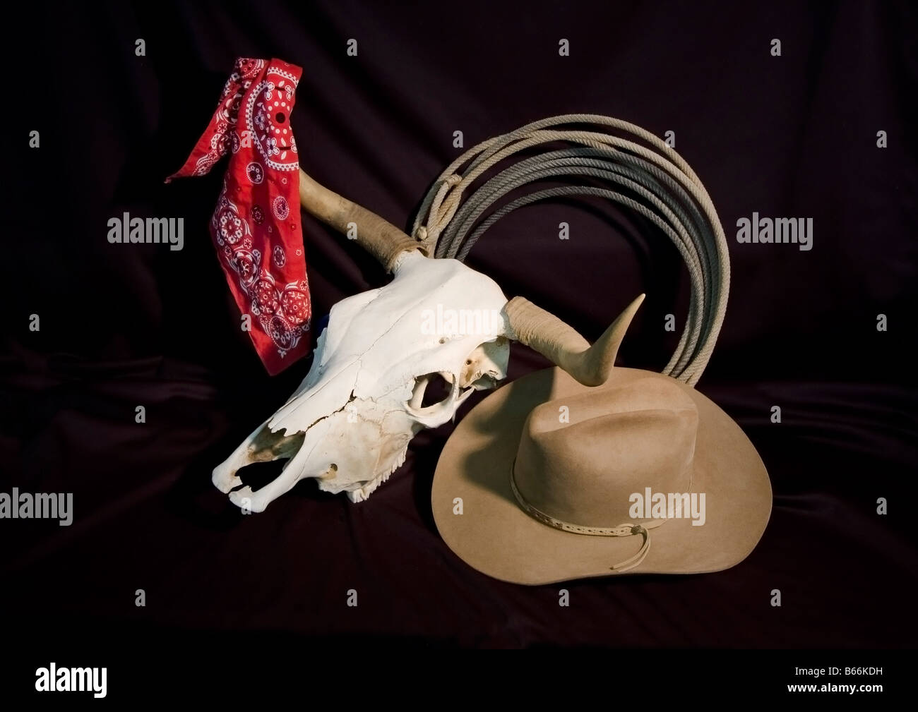 A bleached steer skull with horns coiled rope bandana and hat on a black background Stock Photo