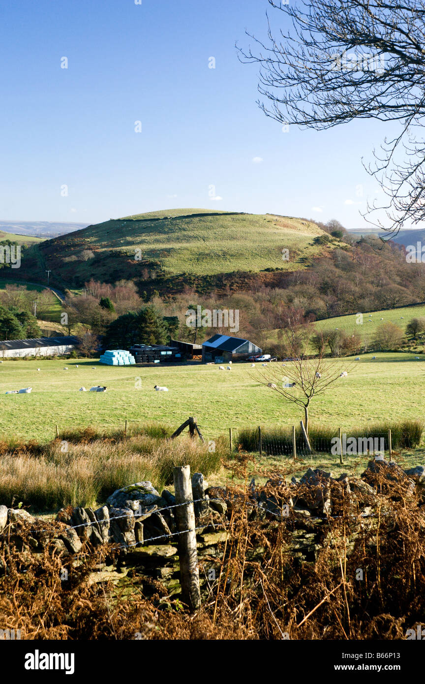 farmland and twyn y glog hill near pontypridd south wales valleys uk Stock Photo
