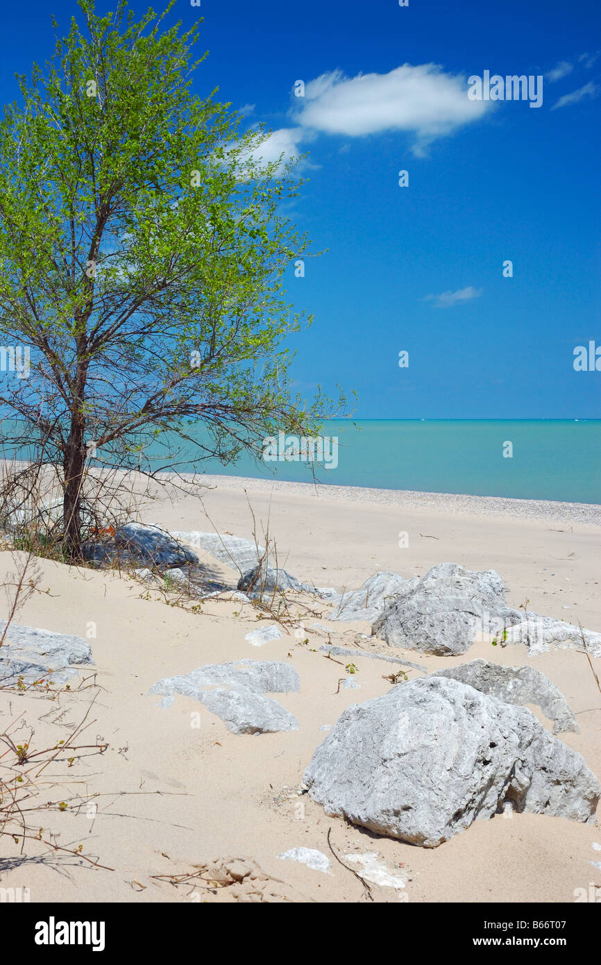 The Illinois Beach State Park at Lake Michigan near the towns of Zion