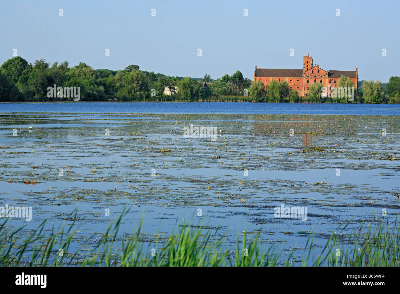 River Slutch, Starokostiantyniv, Khmelnytskyi oblast (province), Podolia (Podilia Podillya), Ukraine Stock Photo