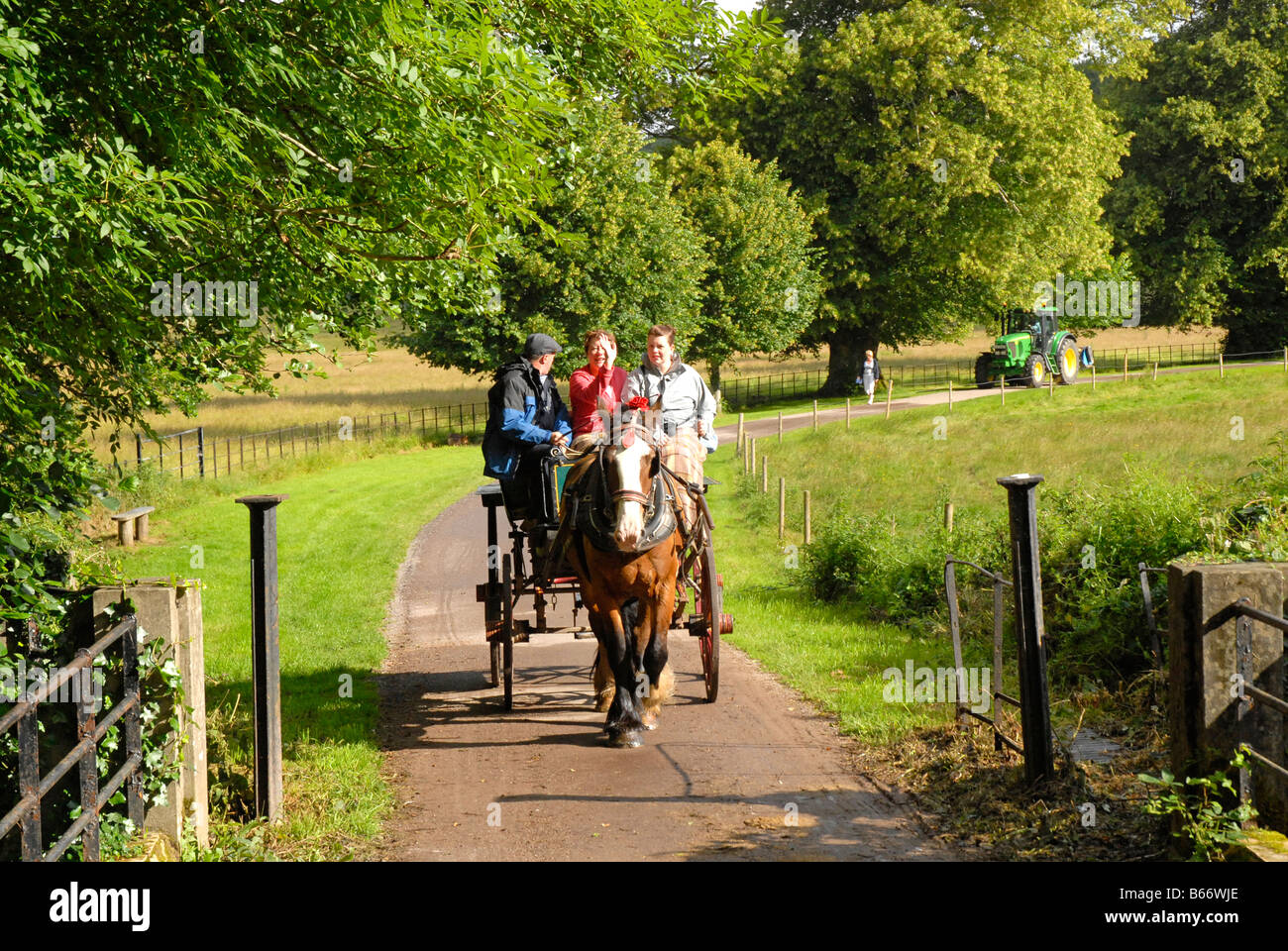 Jaunting Car ride in Killarney Park, south west Ireland Stock Photo Alamy