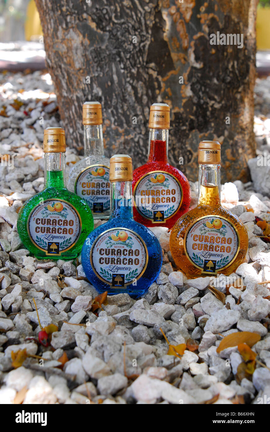 Liqueur of Curacao Caribbean Sea Curacao Stock Photo Alamy