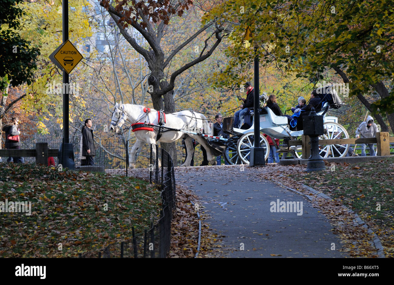 Central Park Winter Horse High Resolution Stock Photography and Images ...