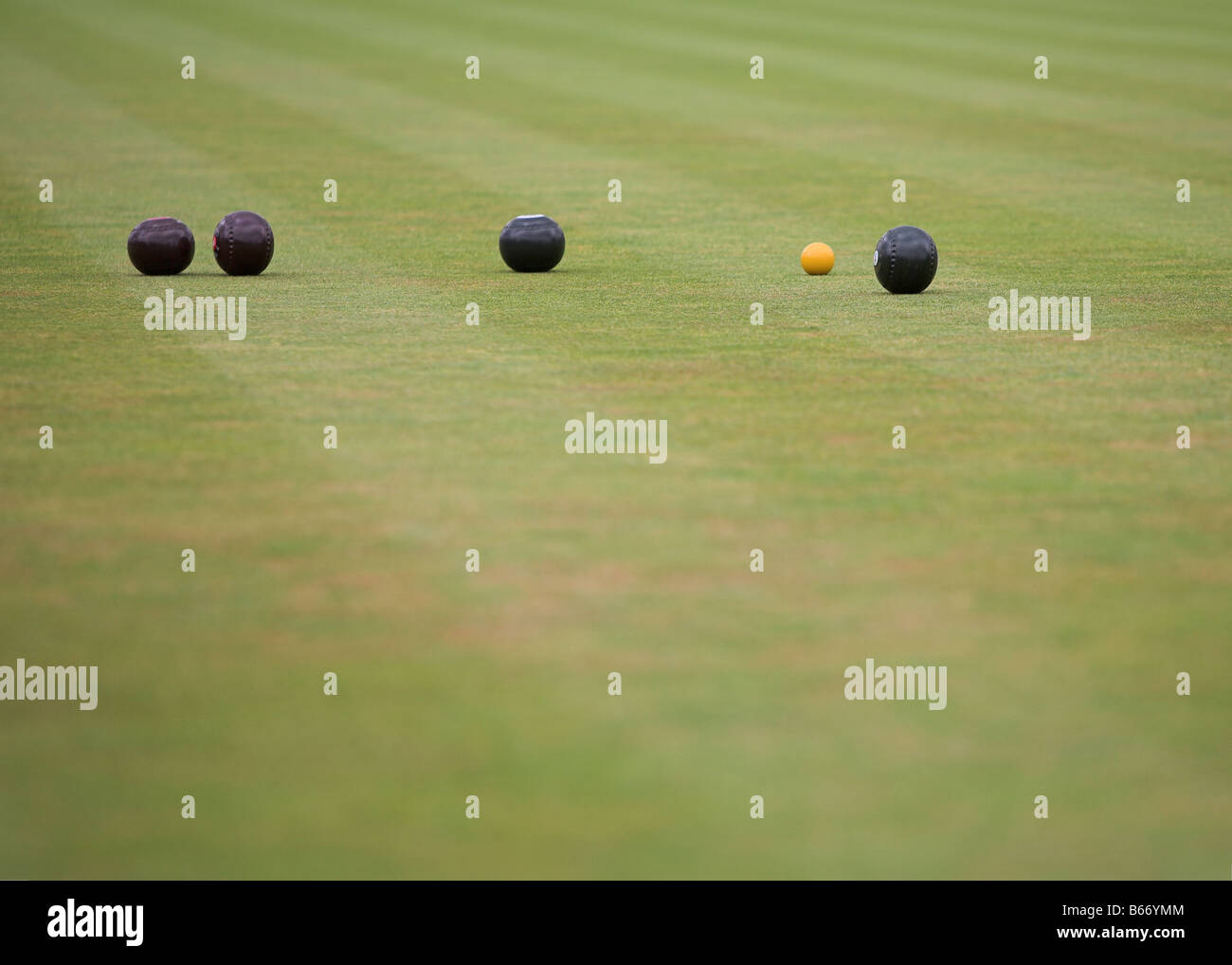 A game of lawn bowls showing woods and the jack Stock Photo Alamy