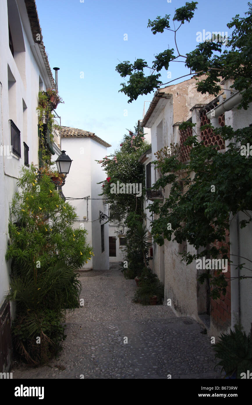 Typical 'pueblo blanco' street with cobblestone, whitewashed houses and plants (Altea, Spain) Stock Photo