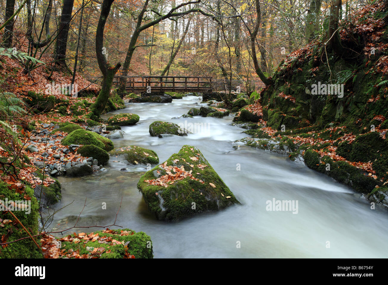 "Stockghyll Force" waterfall above Ambleside, Lake District National Park, Cumbria in Autumn. Stock Photo