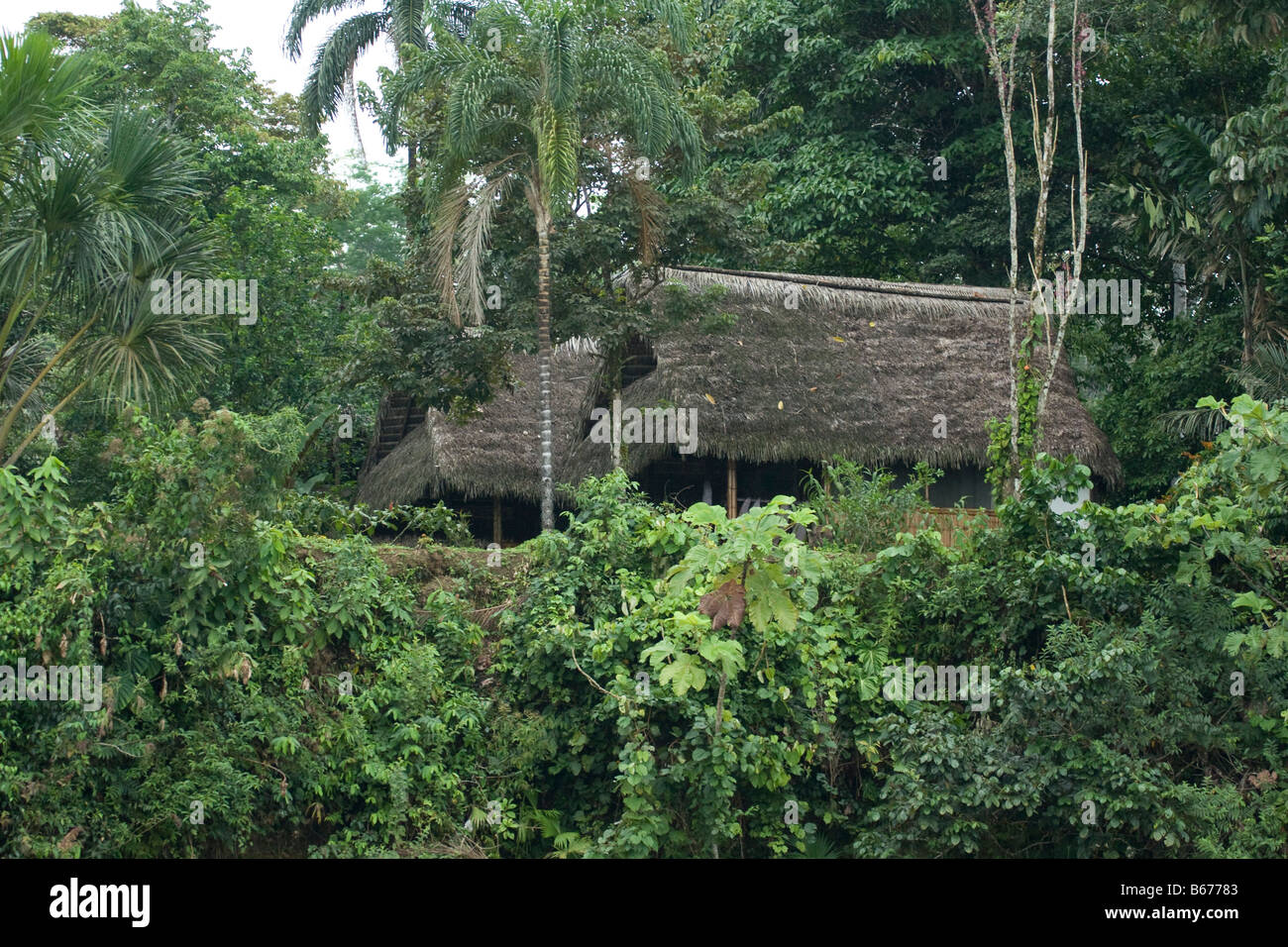 House Hut grass roof on Amazon river in rainforest. thatched roof