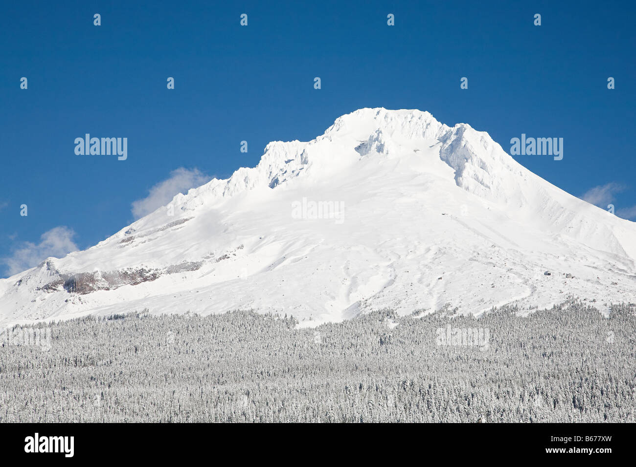 Snow covered mount hood Stock Photo Alamy