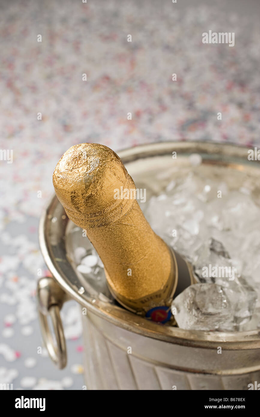 Champagne in an ice bucket Stock Photo Alamy