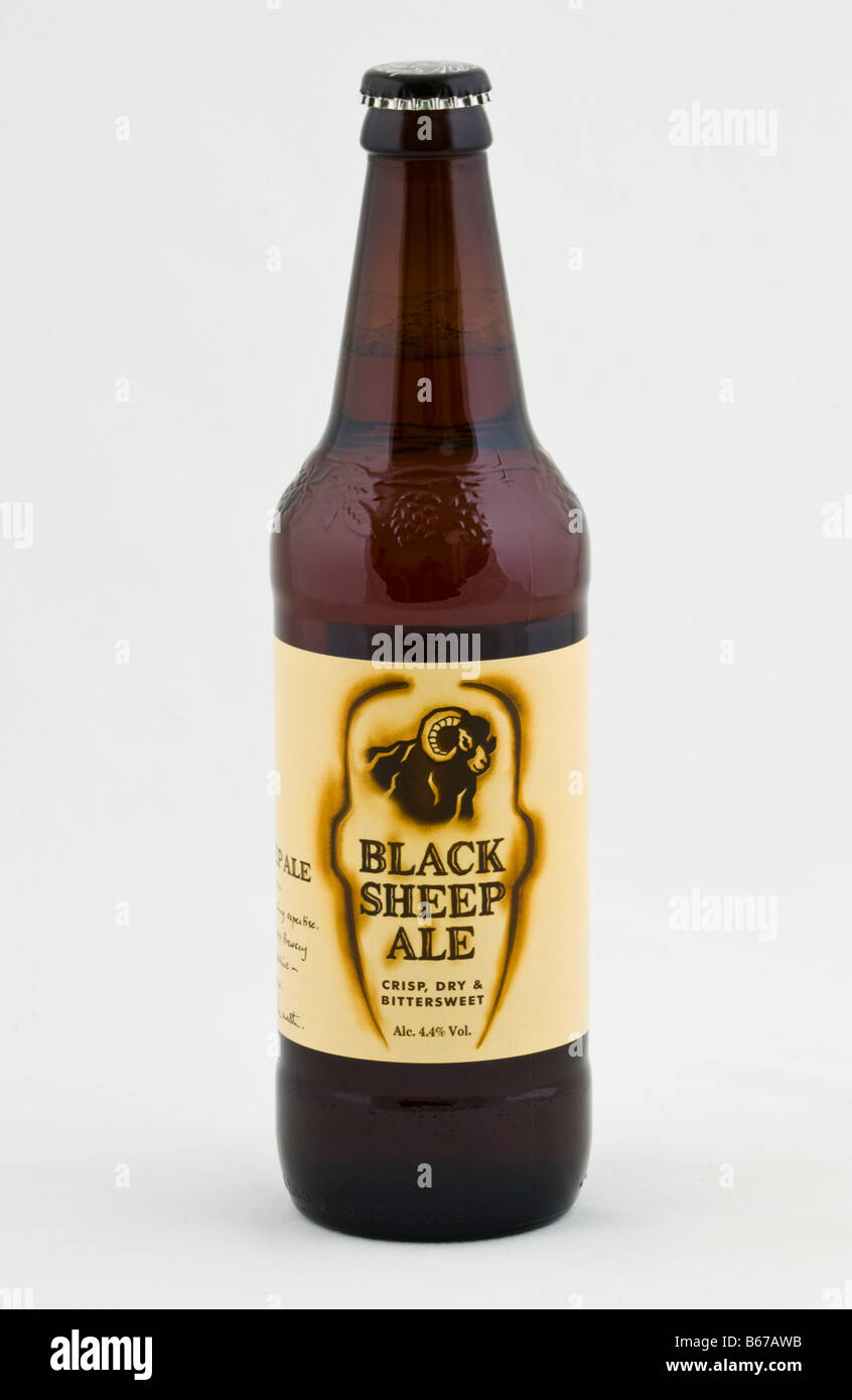 Bottle of Black Sheep Ale brewed at The Black Sheep Brewery Masham North Yorkshire England UK Stock Photo