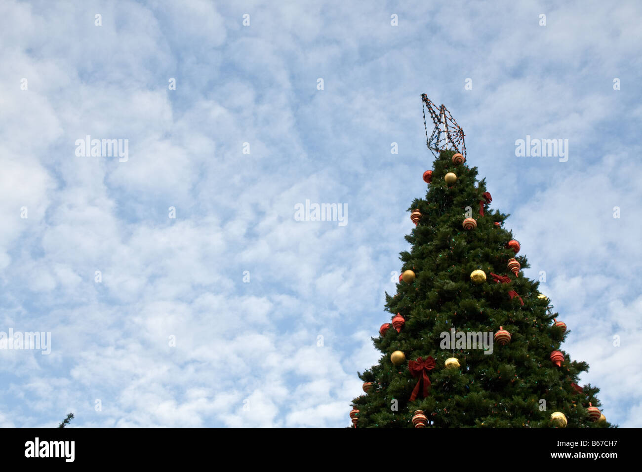Top of a Christmas tree with a large star ornament on the top outdoors Stock Photo