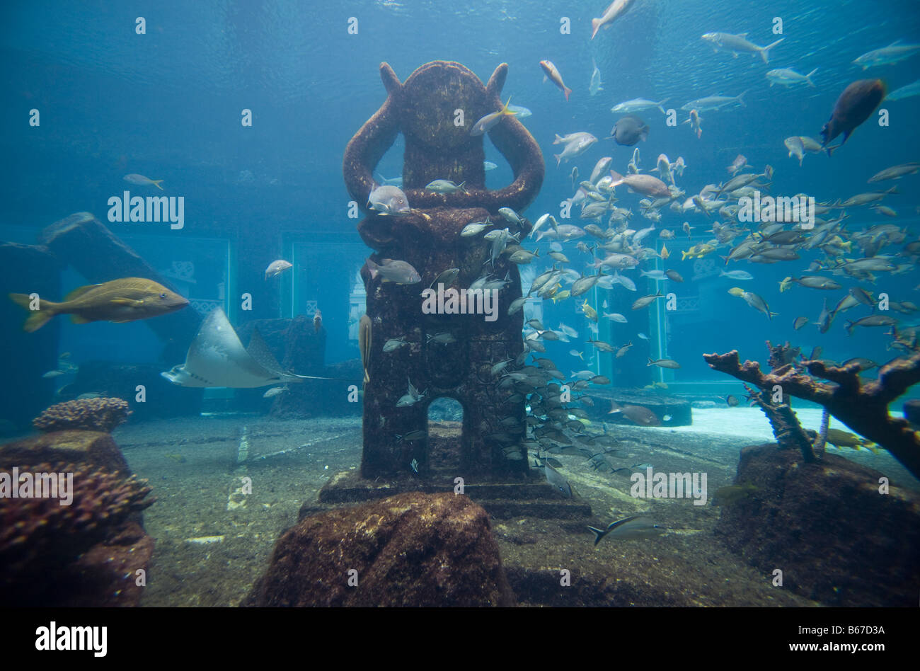 Inside the Atlantis Paradise Island Resort in the Bahamas! 