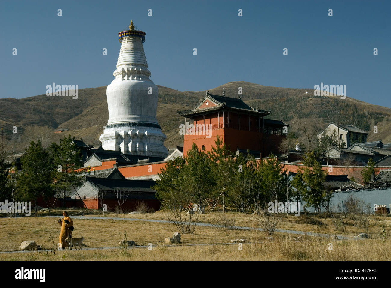 Tayuan Temple and Great White Pagoda at Wutaishan , Shanxi , China Stock Photo