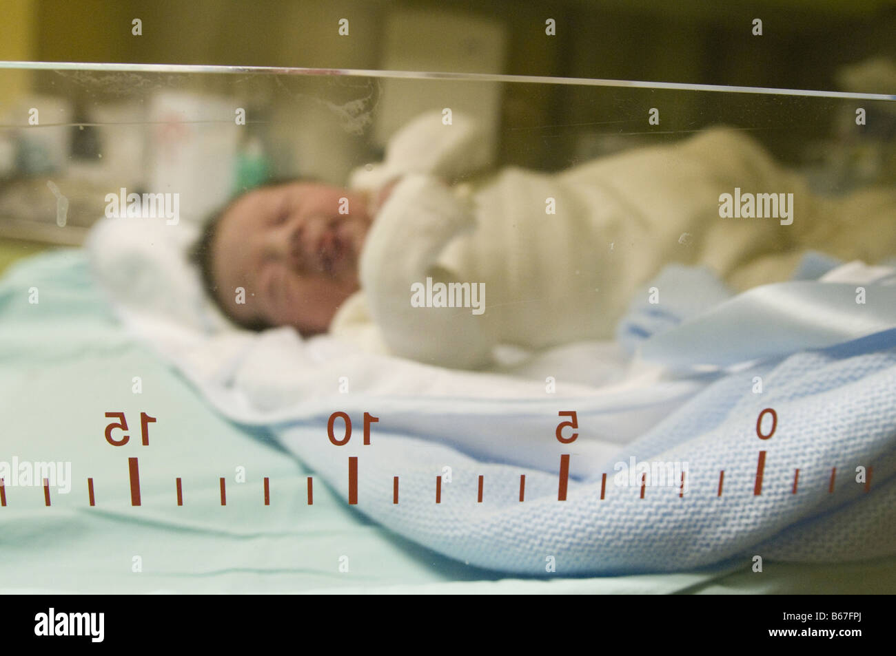Newborn baby in hospital cot Stock Photo Alamy
