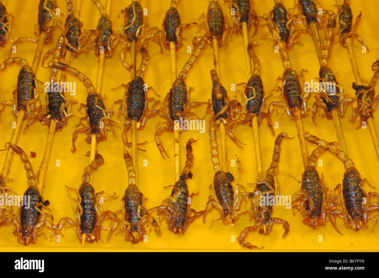 Scorpion snacks Stock Photo